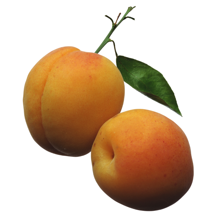 apricot
