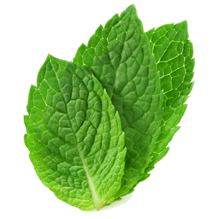 mint
