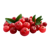 icon for Cranberries
