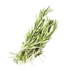 icon for Rosemary