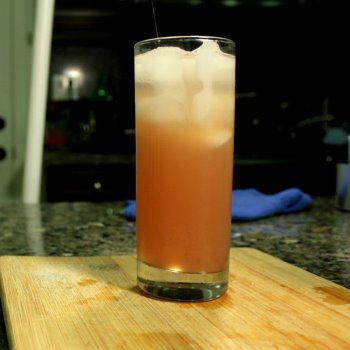 Cocktail Tequila Fizz