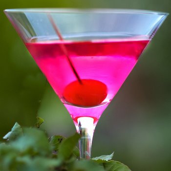 Cocktail Rose