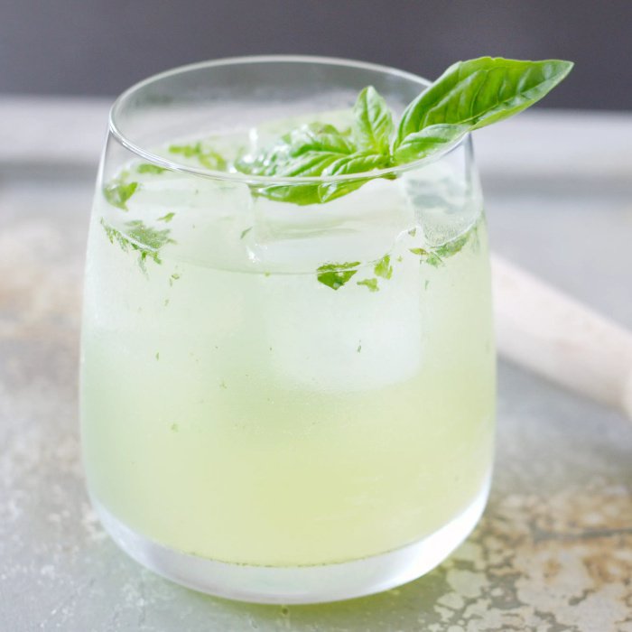 Gin Smash