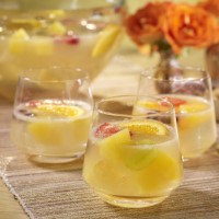 Fruit Cooler