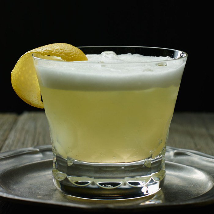 Gin Sour