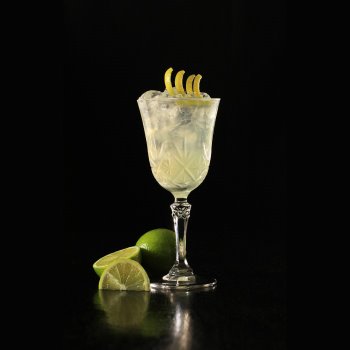Cocktail Gin Sour